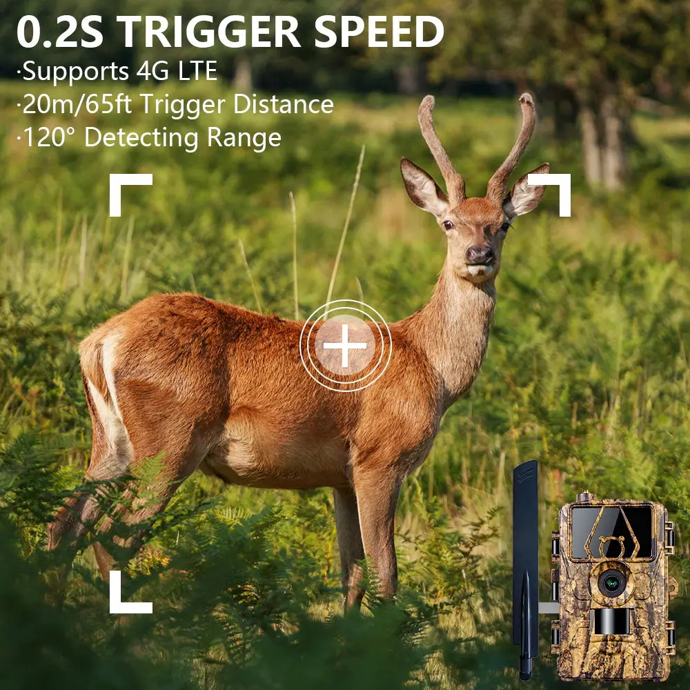 Caméra infrarouge pour la surv - Outdoor Hunting Video Camera avis et prix