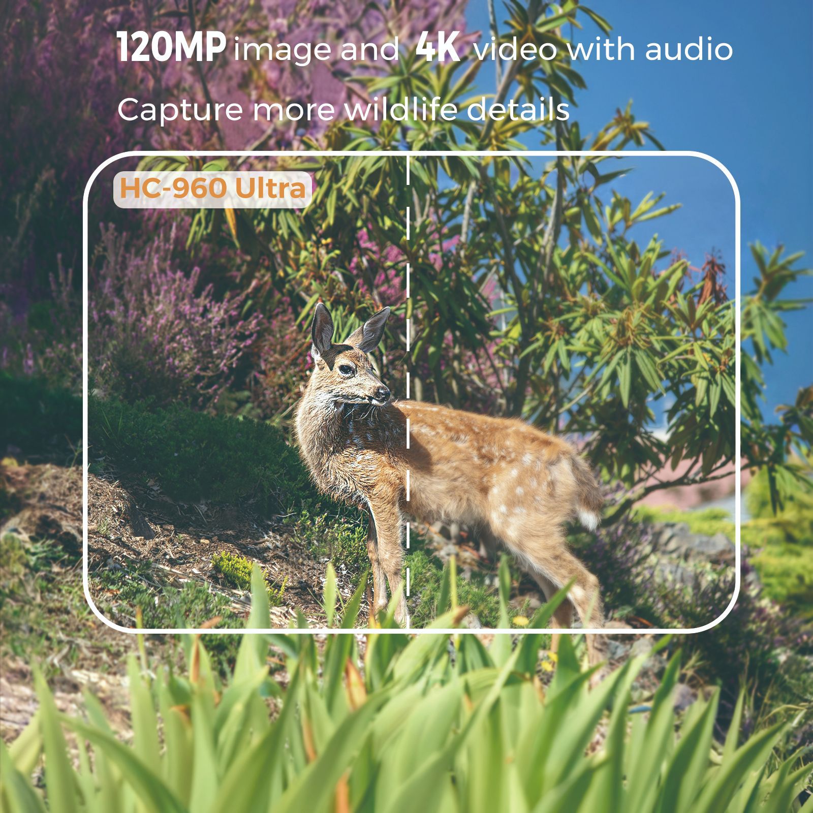 Vidéo extérieur 4K 120MP Photo - Outdoor Hunting Video Camera avis et prix