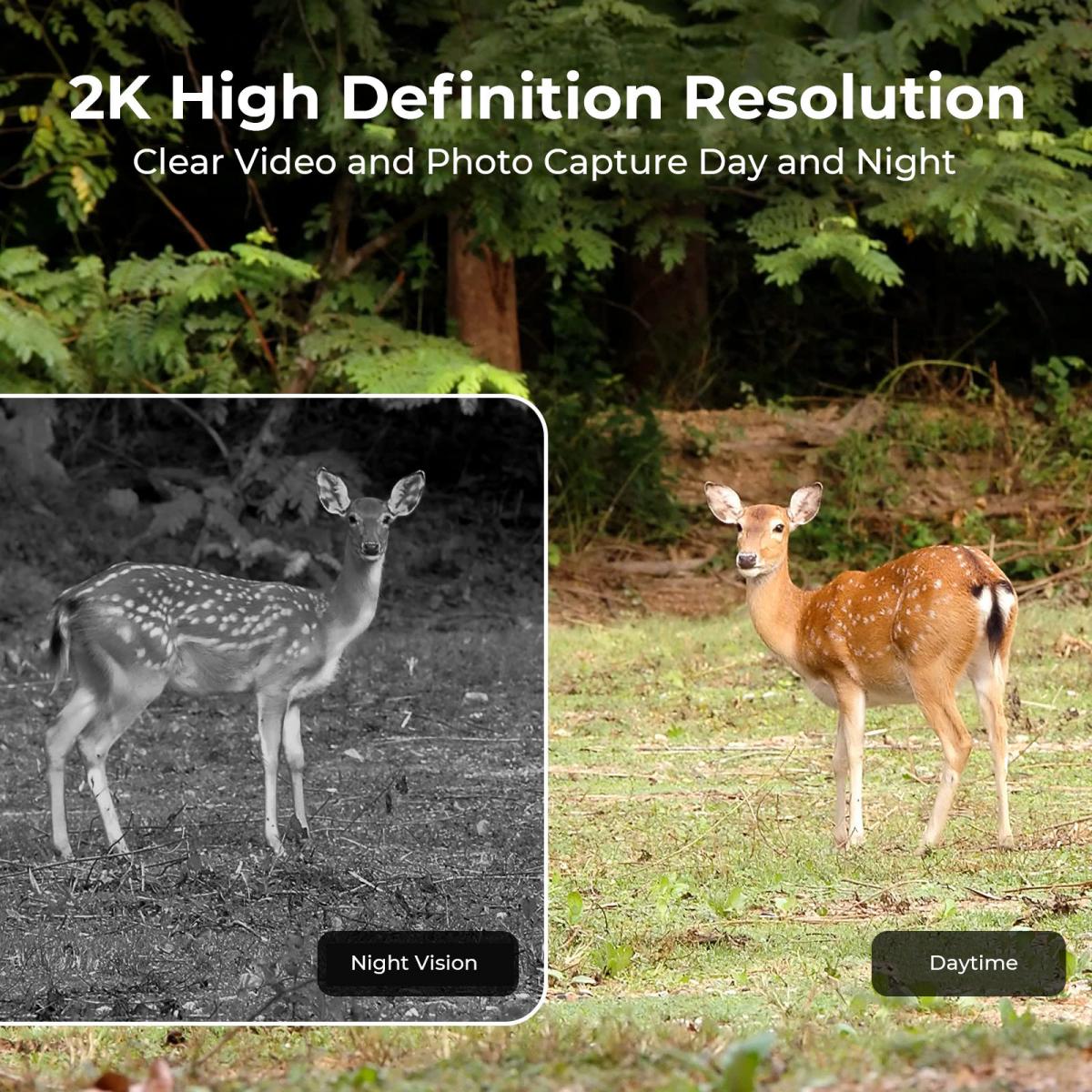 Caméra de chasse solaire 4G ce - Outdoor Hunting Video Camera avis et prix