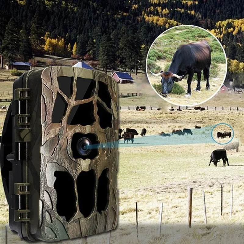 H982 IP66 étanche 4K extérieur - Outdoor Hunting Video Camera avis et prix